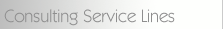 Consulting Service Lines